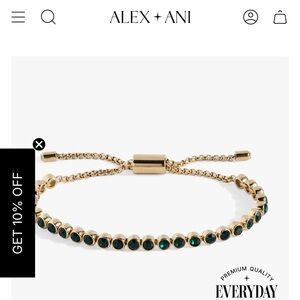 Alex and ani bolo bracelet